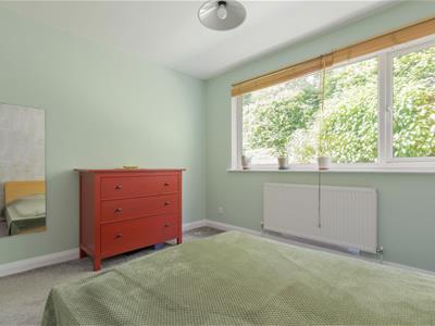 Picture 13